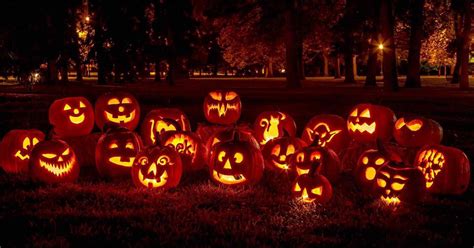 The Allure of Pumpkin Magi Lanterns in Autumn Decor